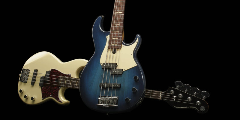 Bass Guitars