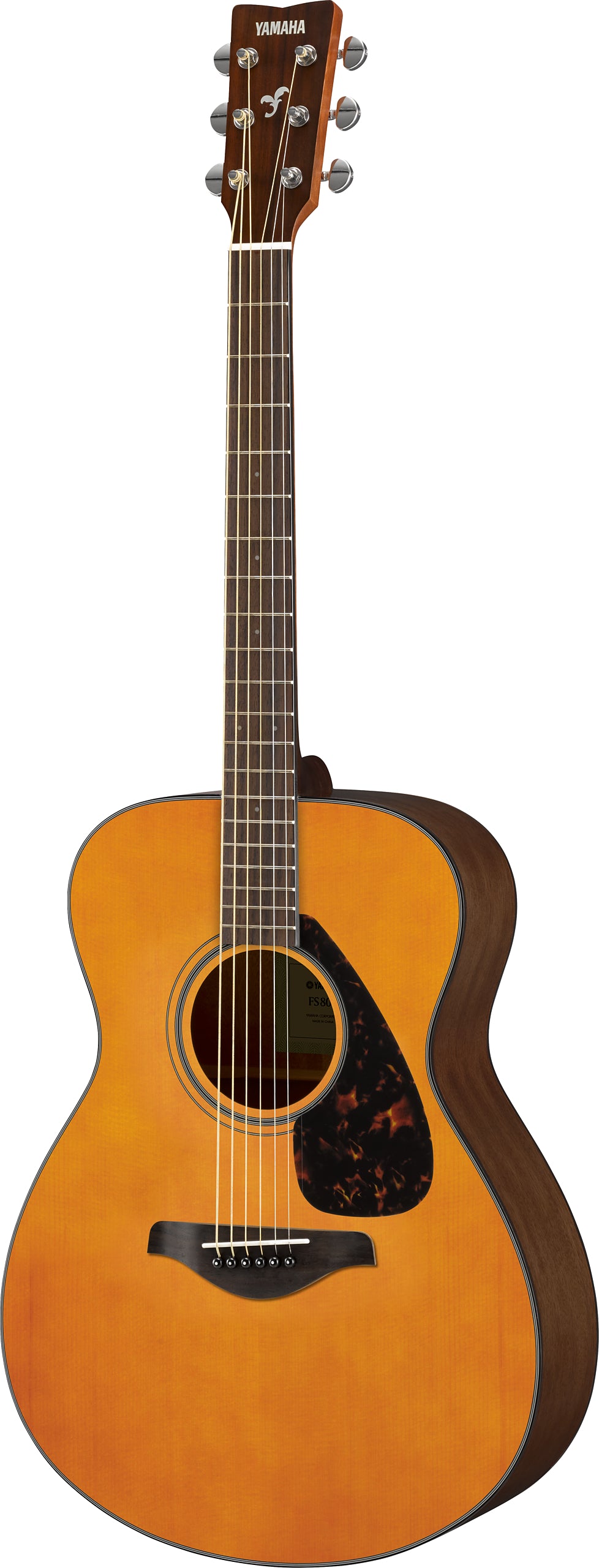 Yamaha FS800 Tinted Concert Acoustic Guitar – Balanced Tone & Comfortable Playability