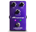 Ampeg Liquifier Analog Bass Chorus Pedal