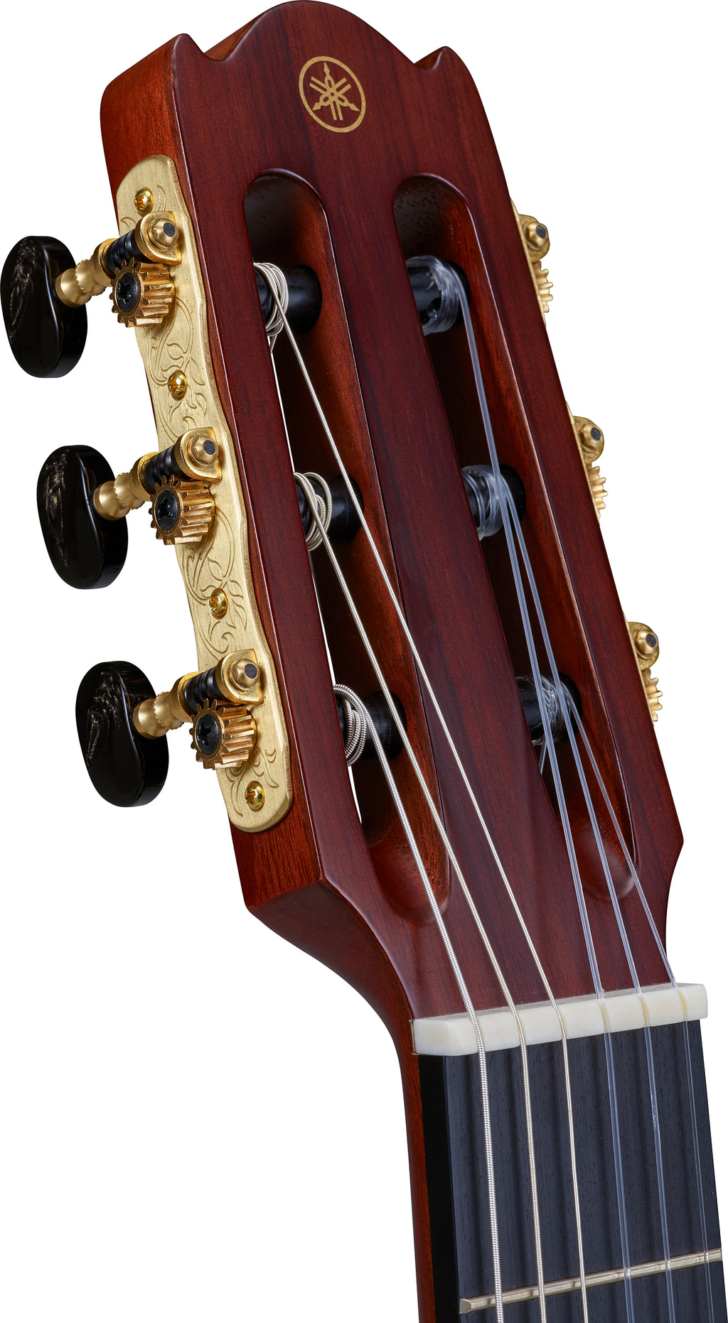 Yamaha NCX5 Acoustic-Electric Nylon String Guitar