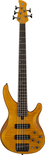 Yamaha TRBX605FM Matte Amber 5-String Bass Guitar – Flamed Maple Style & Extended Active/Passive Flexibility